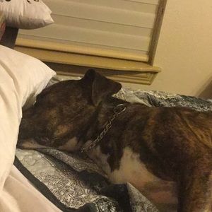 Meet your Posher, Terry